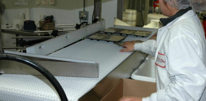 Conveyors Designed for the Cheese & Dairy Industry