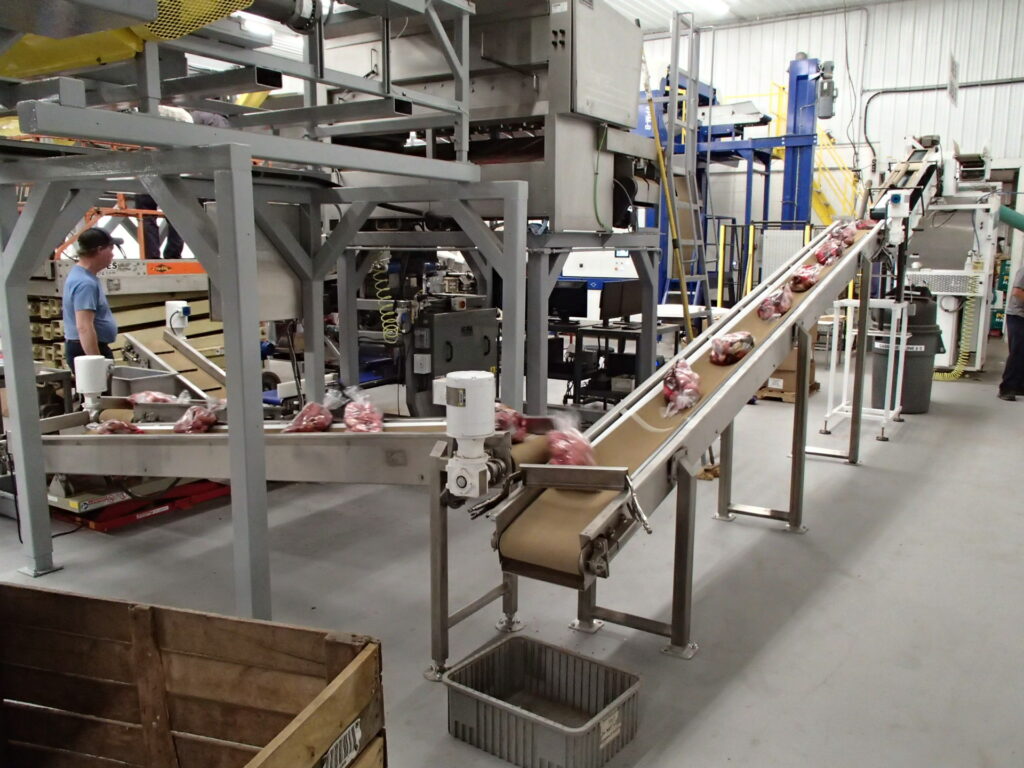 A HCS conveyor in a potato farm factory